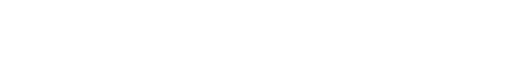 Max Riemer Consulting